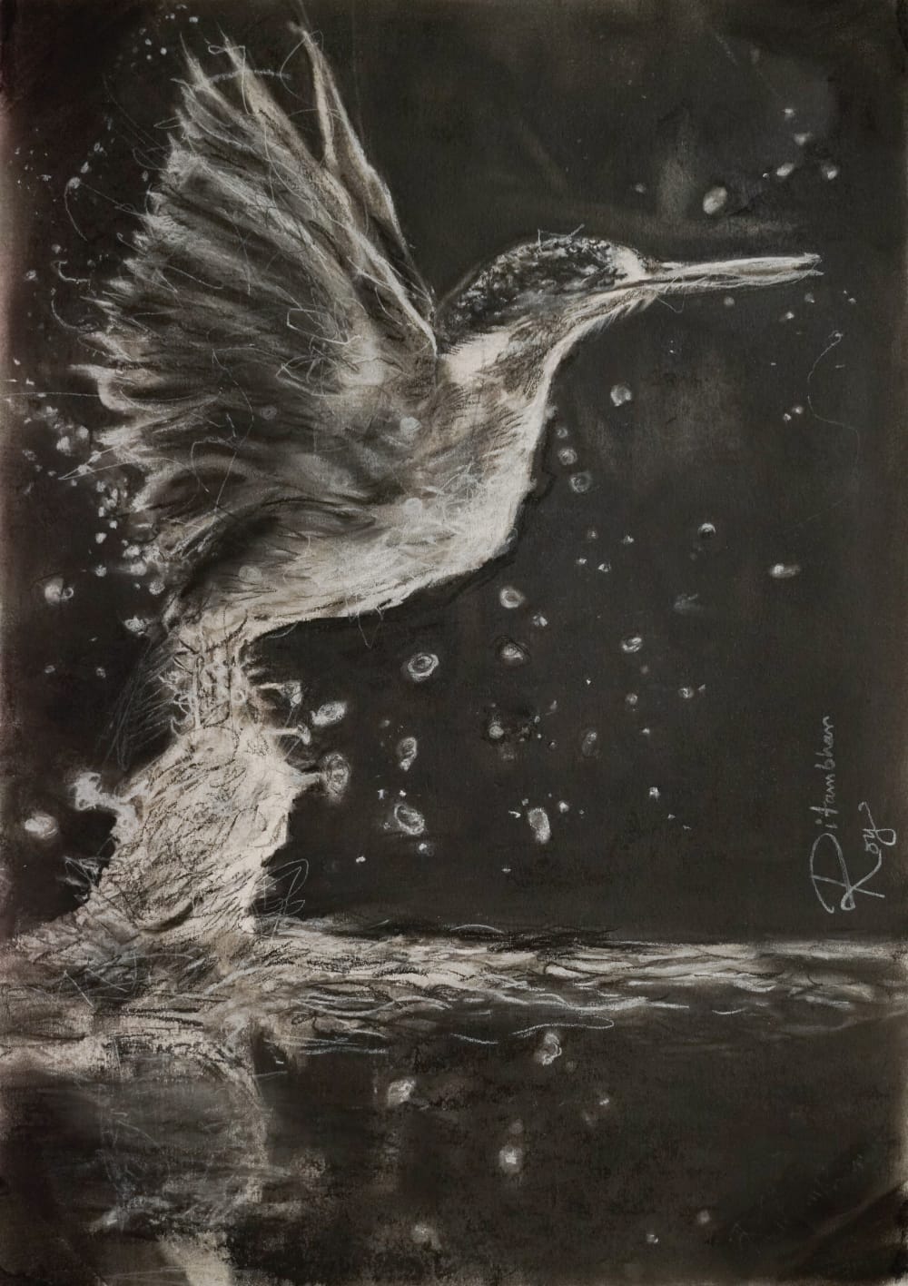 Kingfisher Charcoal Art